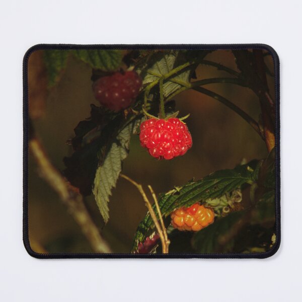 Item preview, red raspberry designed and sold by Francespoppy.
