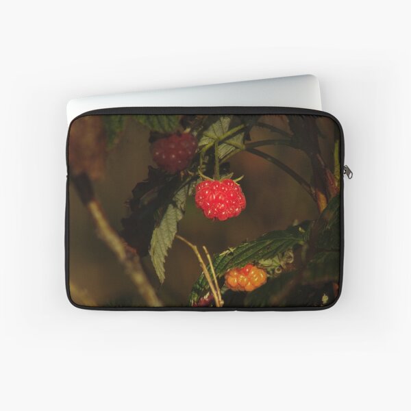 Item preview, red raspberry designed and sold by Francespoppy.