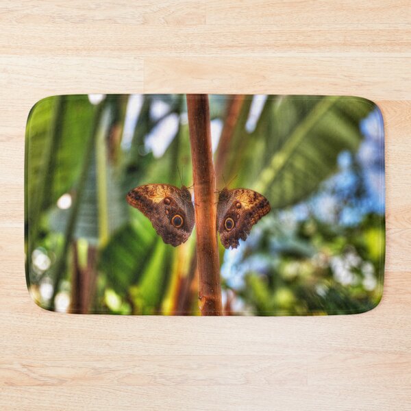 Item preview, Dusky Giant Owl Butterflies  designed and sold by Paul Thompson Photography.