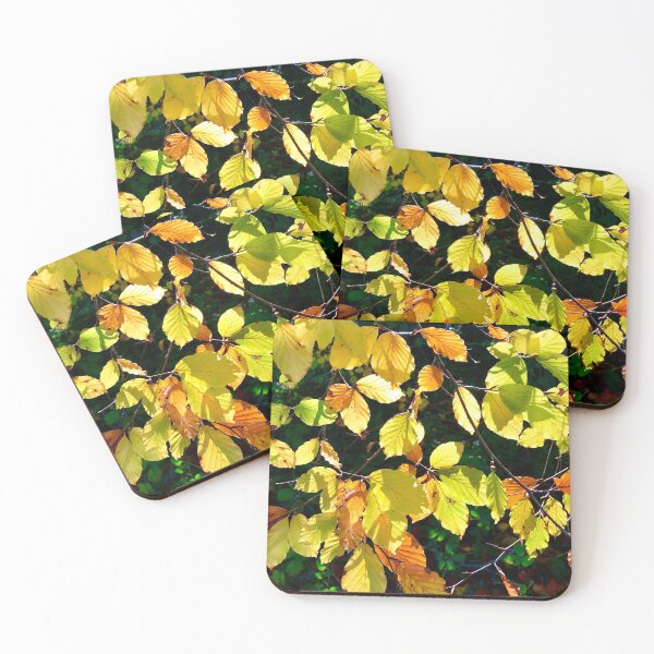 Item preview, autumn leaves backlit by the sun-english countryside designed and sold by 1andydesign.
