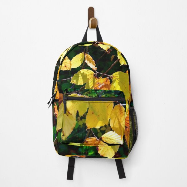 Item preview, autumn leaves backlit by the sun-english countryside designed and sold by 1andydesign.