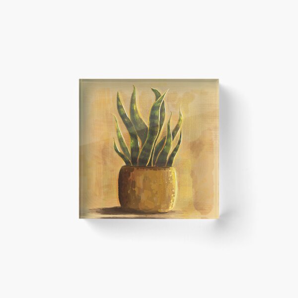 Item preview, Snake Plant in Sunshine designed and sold by rnmarts.