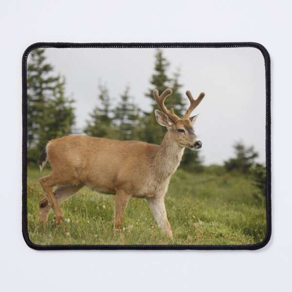 Item preview, Hurricane Ridge Deer designed and sold by Stratus13.