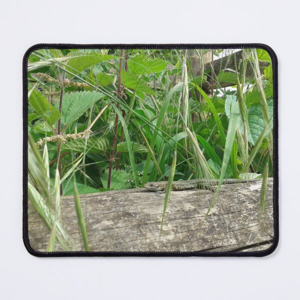 Item preview, Common Lizard designed and sold by SandersSP-Merch.