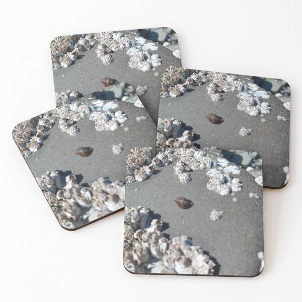 Item preview, Sea snail shell on rock  designed and sold by WildNature129.