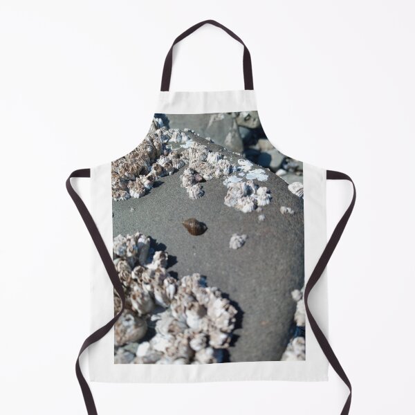 Item preview, Sea snail shell on rock designed and sold by WildNature129.