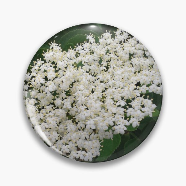 Item preview, Elderflower designed and sold by SandersSP-Merch.