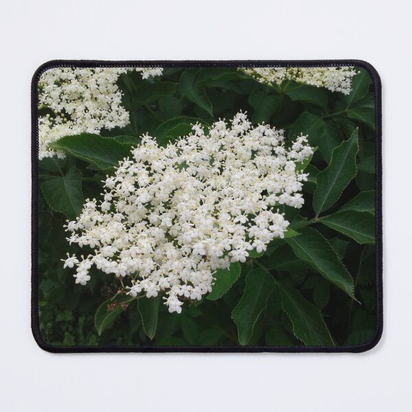Item preview, Elderflower designed and sold by SandersSP-Merch.