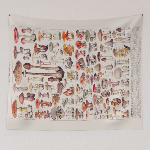 Item preview, Vintage Mushroom Fungus Science Illustration II designed and sold by VintageArchive.