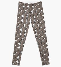 Bogong Moth Whisper Leggings