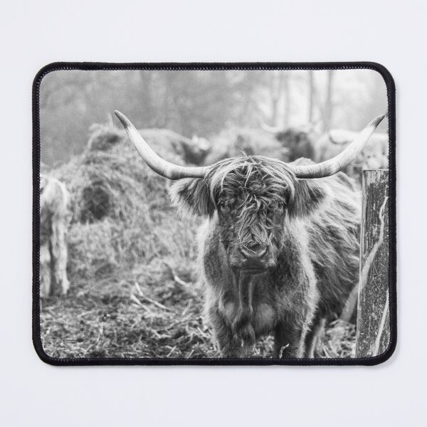 Item preview, B&W Highland Cow designed and sold by ARosesTouch.