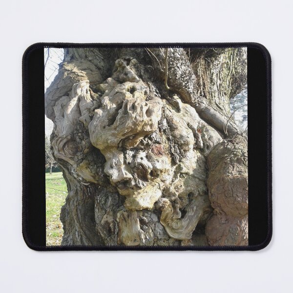 Item preview, Gnarly Tree Bark designed and sold by SandersSP-Merch.