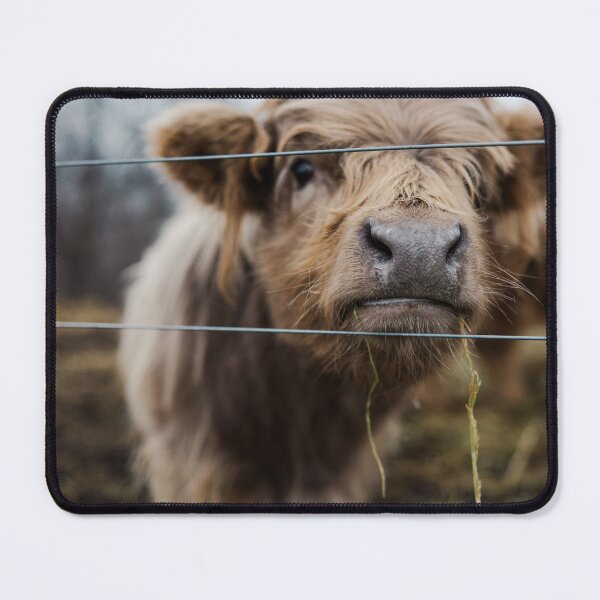 Item preview, Baby Mini Highland Cow designed and sold by ARosesTouch.