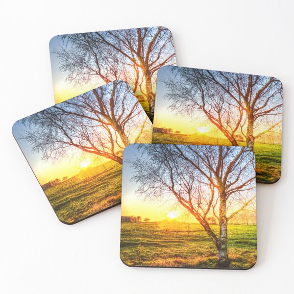 Item preview, Birch Tree Yellow Sunrise Glow designed and sold by Paul Thompson Photography.