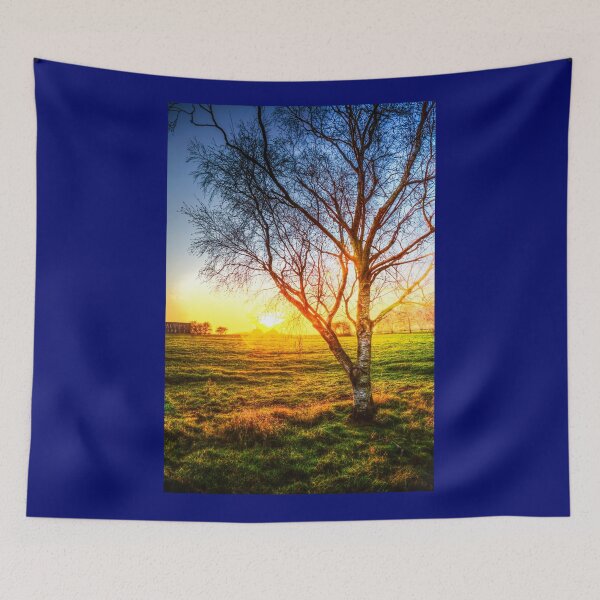 Item preview, Birch Tree Yellow Sunrise Glow designed and sold by Paul Thompson Photography.