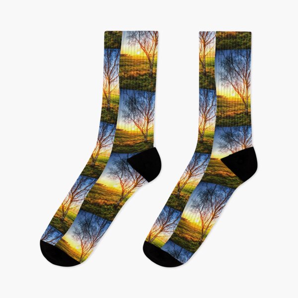 Item preview, Birch Tree Yellow Sunrise Glow designed and sold by Paul Thompson Photography.
