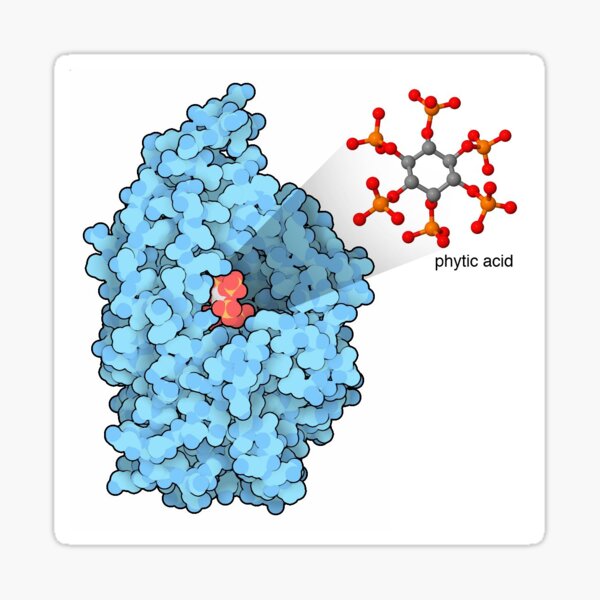Phytase - the enzyme-friend of cows Sticker