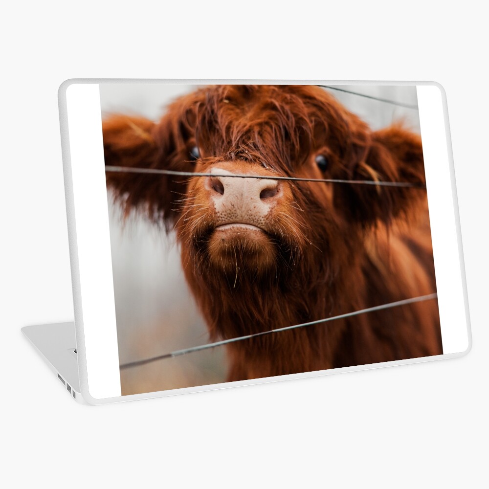 Caught Red Handed Cow Dish Drying Mat – Martin Welch Art