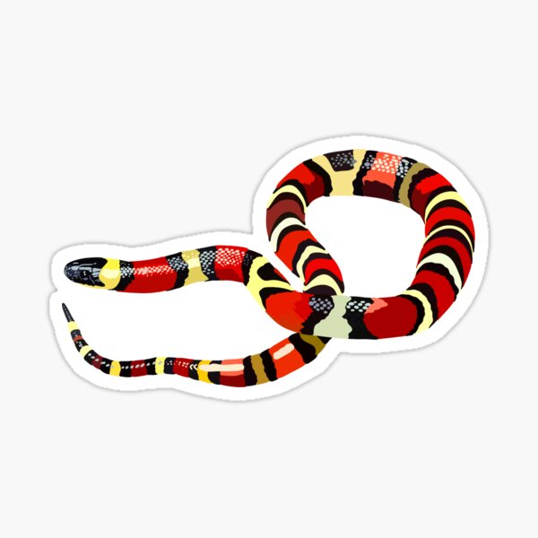 Vista previa del artículo con la obra «M es para serpiente de leche», diseñado y vendido por thezoogirl.