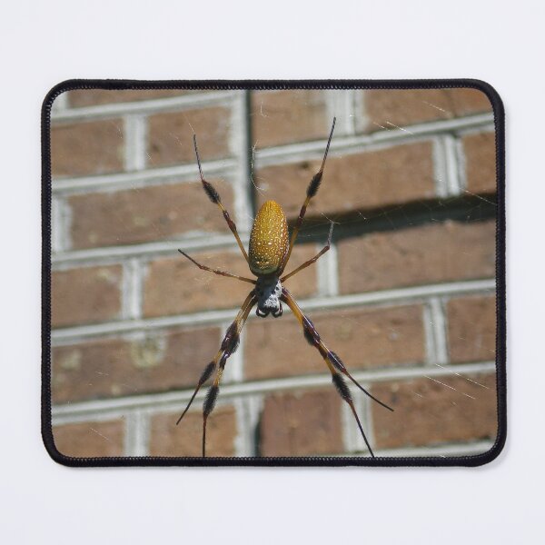 Item preview, Spider designed and sold by Rebekah  McLeod.