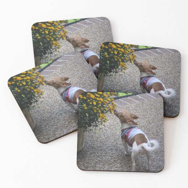 Item preview, Sniff, Sniff designed and sold by Rebekah  McLeod.