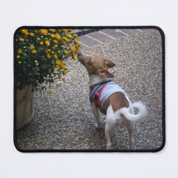 Item preview, Sniff, Sniff designed and sold by Rebekah  McLeod.