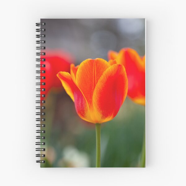 Aperçu de l'œuvre Tulipe lumineuse et heureuse créée et vendue par Karol Livote.