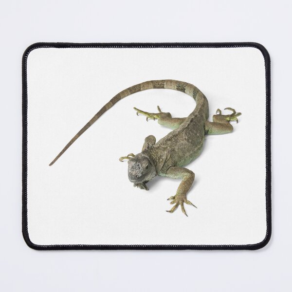 Item preview, Lizard designed and sold by Unindiv.