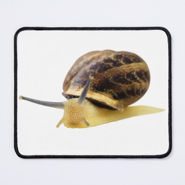 Item preview, Snail designed and sold by Unindiv.