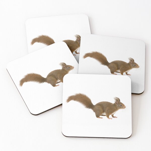 Item preview, Squirrel designed and sold by Unindiv.