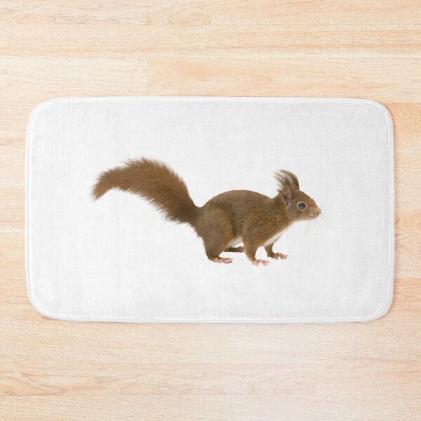 Item preview, Squirrel designed and sold by Unindiv.