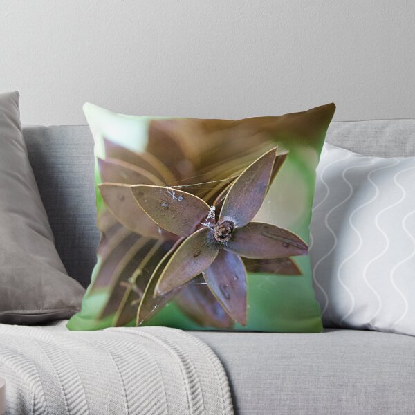 5 pointed star Throw Pillow