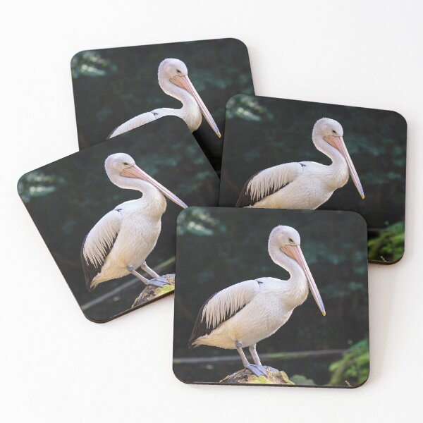 Item preview, Australian Pelican - Pelecanus Conspicillatus on a tree trunk designed and sold by LubosChlubny.