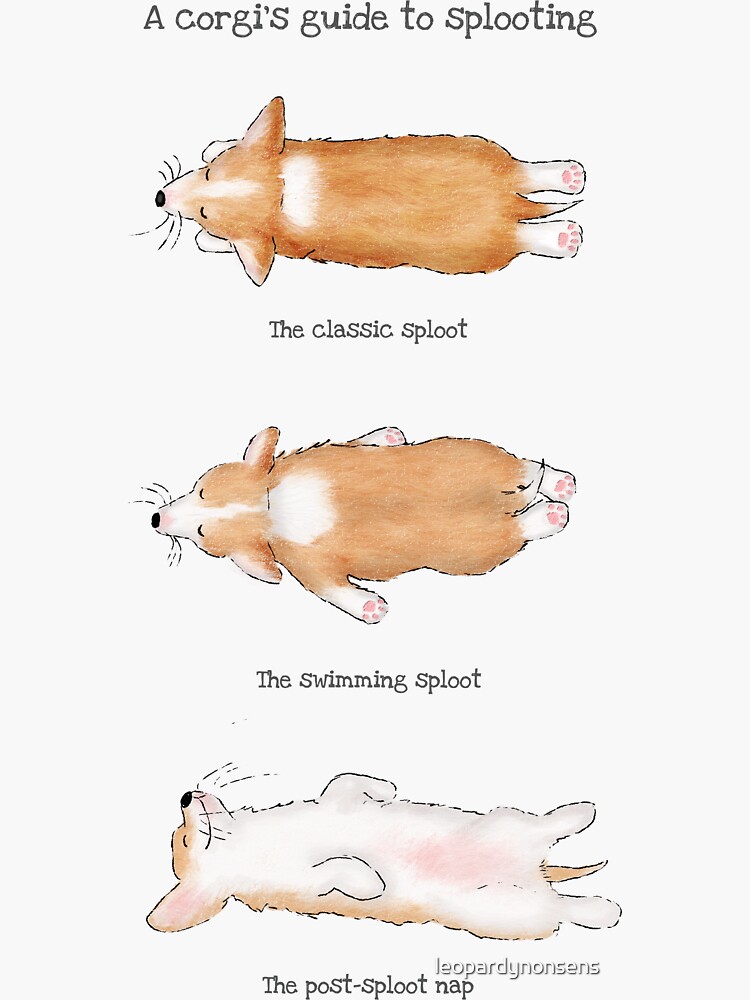 Thumbnail 3 of 3, Sticker, A Corgi's Guide to Splooting designed and sold by leopardynonsens.