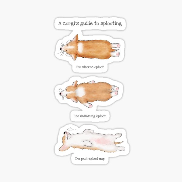 A Corgi's Guide to Splooting Sticker