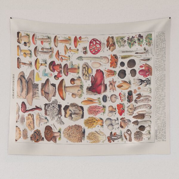 Item preview, Vintage Mushroom Fungus Science Illustration III designed and sold by VintageArchive.