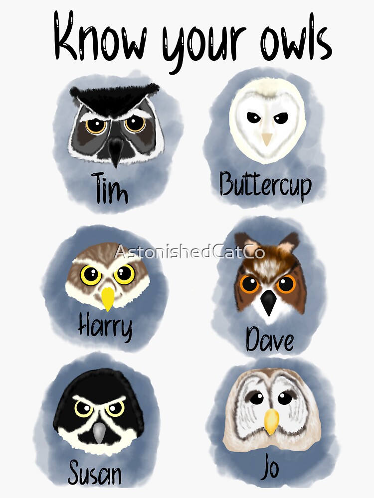 Thumbnail 3 of 3, Sticker, Know Your Owls - Astonished Cat Company designed and sold by AstonishedCatCo.