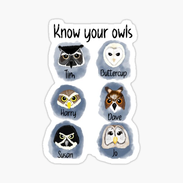 Know Your Owls - Astonished Cat Company Sticker