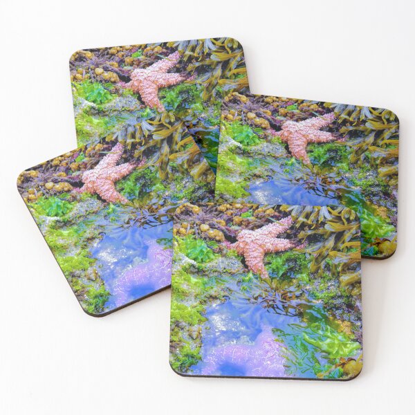 Item preview, Tidepools with JUles designed and sold by JulesOfTheSea21.