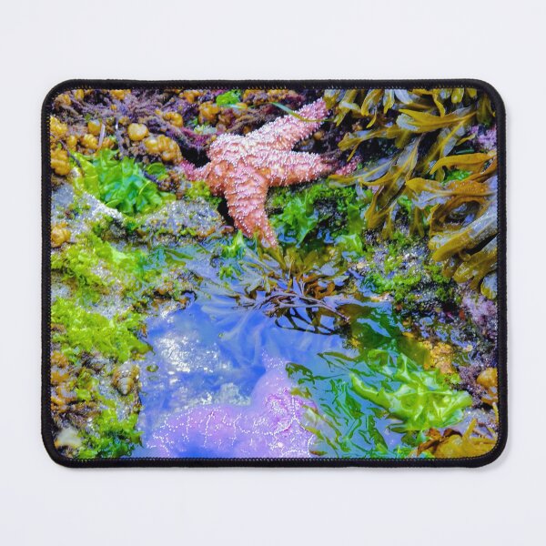 Item preview, Tidepools with JUles designed and sold by JulesOfTheSea21.