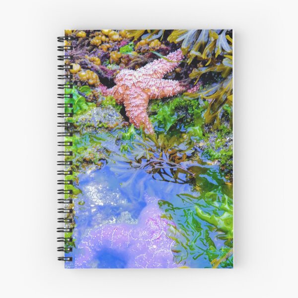 Item preview, Tidepools with JUles designed and sold by JulesOfTheSea21.
