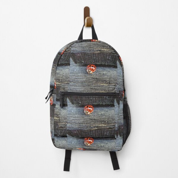 Item preview, Ladybug explores feeding site - macro // designed and sold by Lillrose.