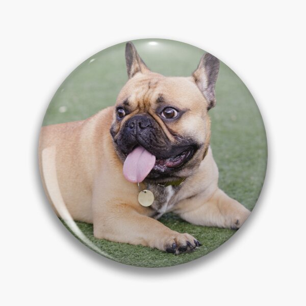 Item preview, Fawn Puppy French Bulldog Lying Down and Panting with Tongue Out designed and sold by yhelfman.