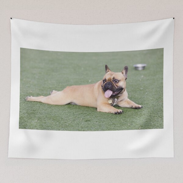 Item preview, Fawn Puppy French Bulldog Lying Down and Panting with Tongue Out designed and sold by yhelfman.