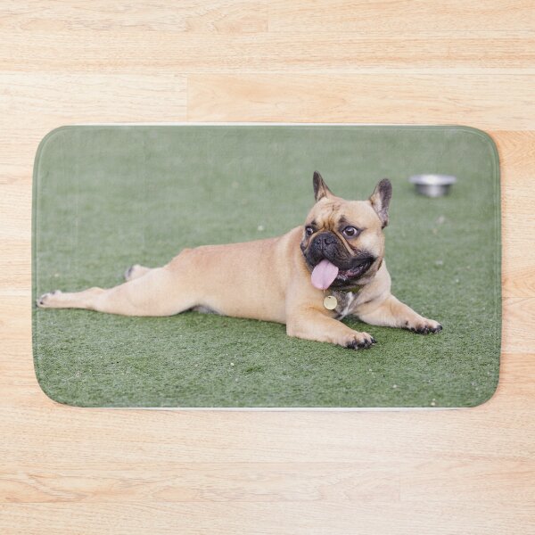 Item preview, Fawn Puppy French Bulldog Lying Down and Panting with Tongue Out designed and sold by yhelfman.