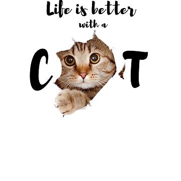 life is better with a cat funny t-shirts cat lovers cute cat. Sticker for  Sale by redouane-ichihi