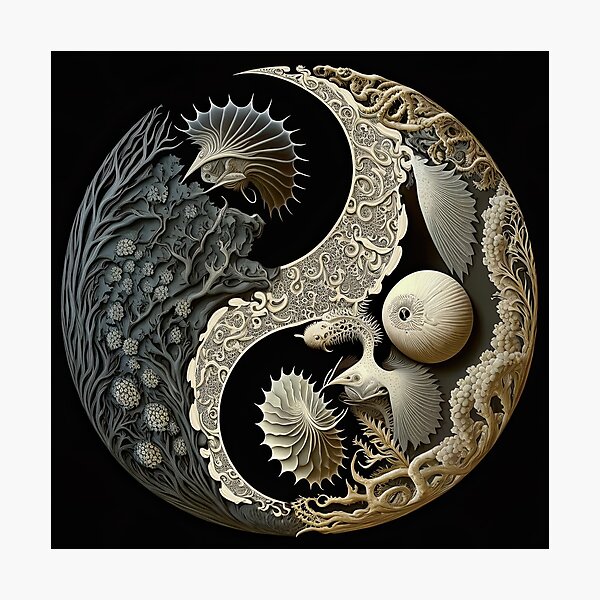 Láminas fotográficas: Obra De Yin Yang