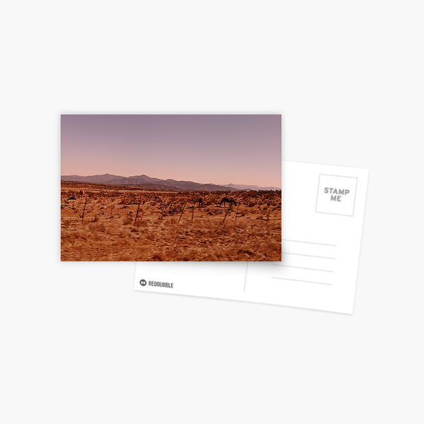 Hills and horses Postcard
