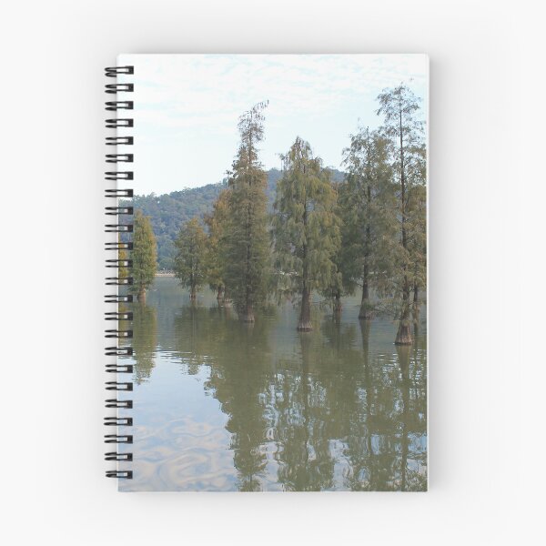 Item preview, Shunfengshan Park- Trees in Lake I designed and sold by Thomas Halouva.