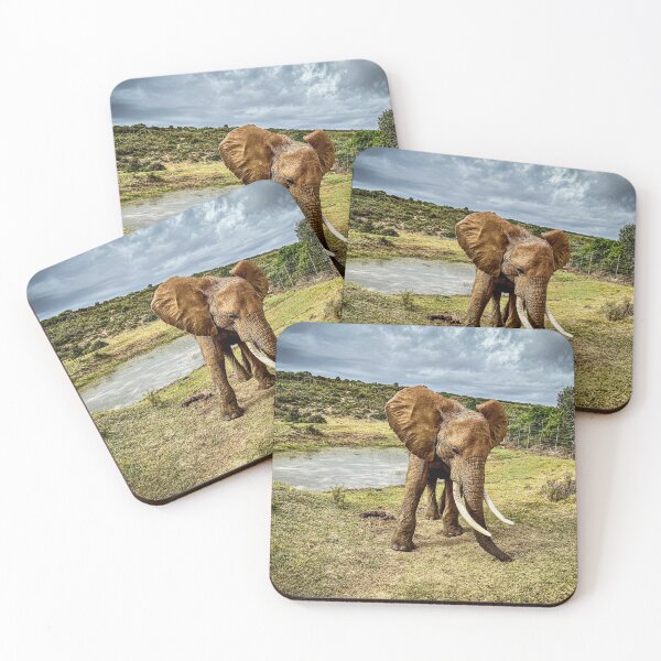 Item preview, Shy Elephant designed and sold by Audrey Krüger.